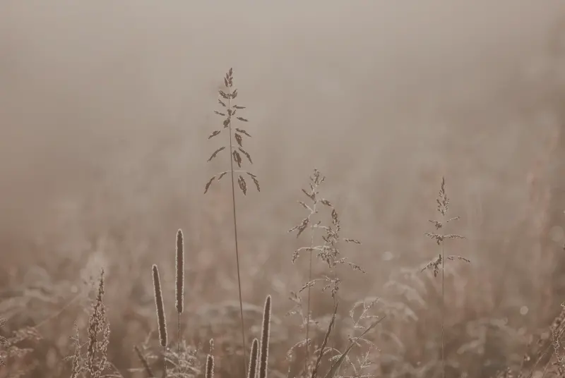 AL-QUDDŪS: een reflectie op het bestaan en de eenheid van Allah